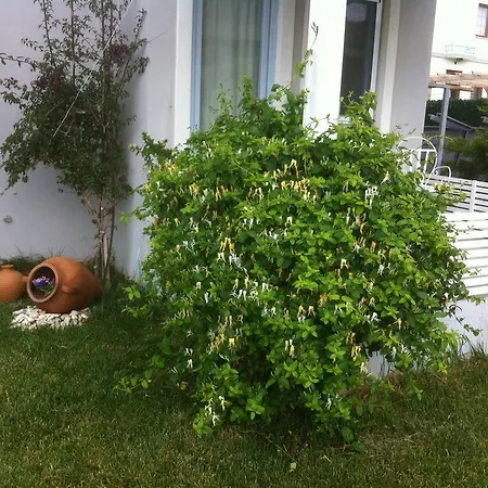 Aspasia House Bed & Breakfast Bozcaada