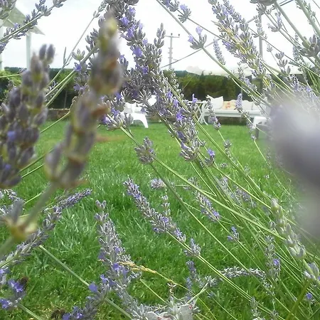 Bed & Breakfast Aspasia House