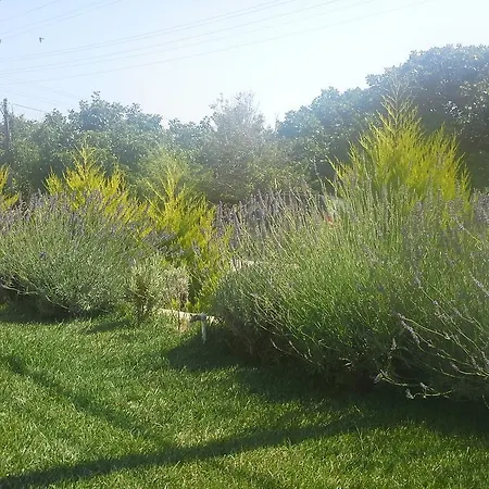 Bed & Breakfast Aspasia House 3*