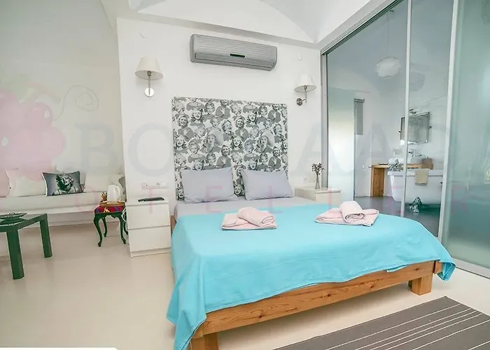 Aspasia House Bozcaada