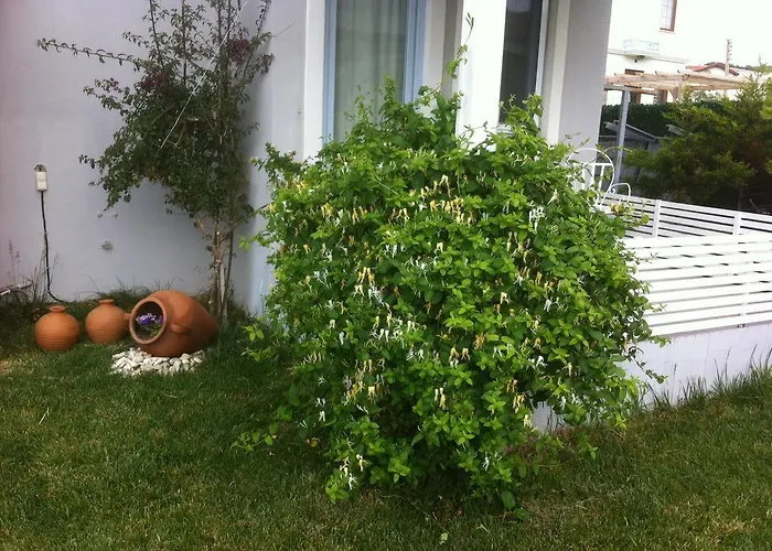 Aspasia House Bed & Breakfast Bozcaada