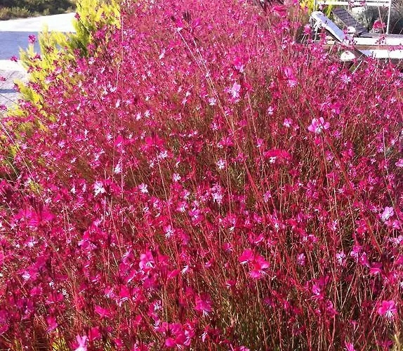 Aspasia House Bed & Breakfast 3*