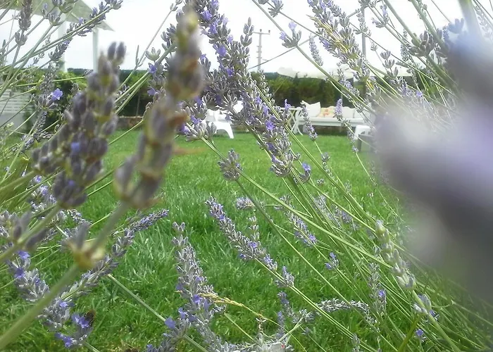 Bed & Breakfast Aspasia House