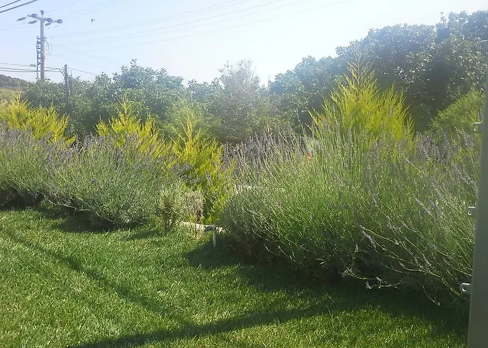 Bed & Breakfast Aspasia House 3*